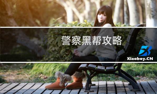警察黑帮攻略