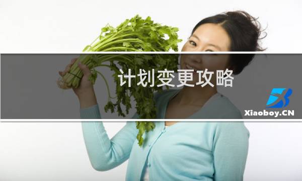 计划变更攻略