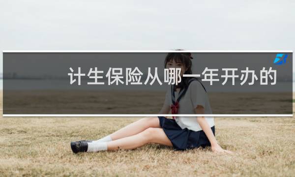 计生保险从哪一年开办的