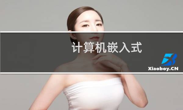 计算机嵌入式