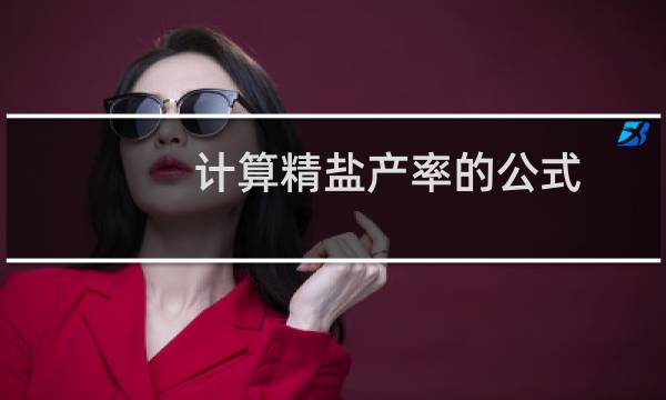 计算精盐产率的公式