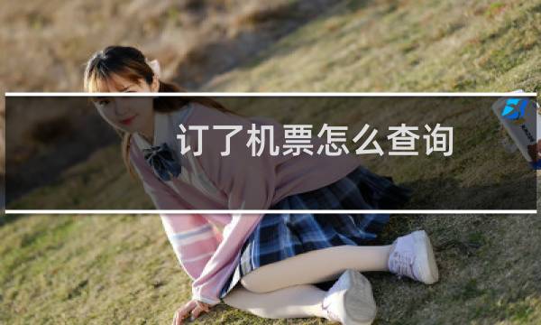 订了机票怎么查询