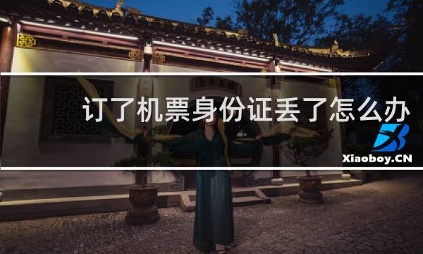 订了机票身份证丢了怎么办