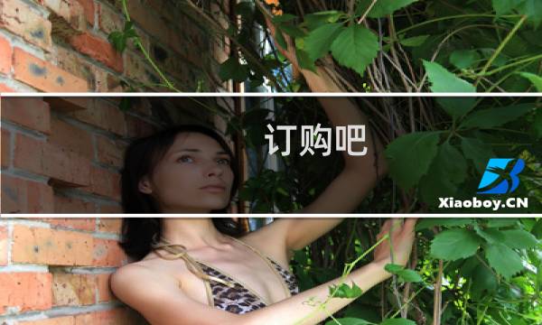 订购吧 我们的世界攻略