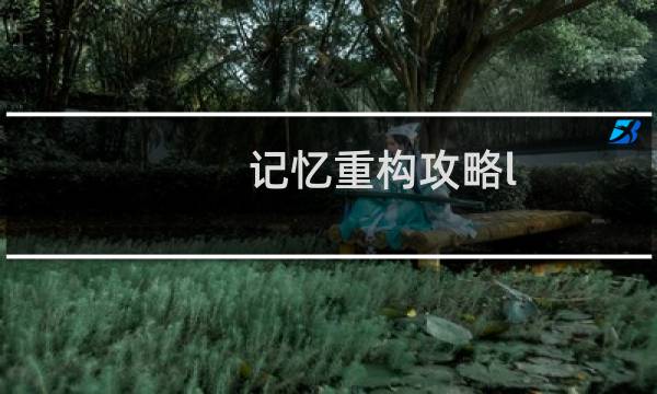 记忆重构攻略l