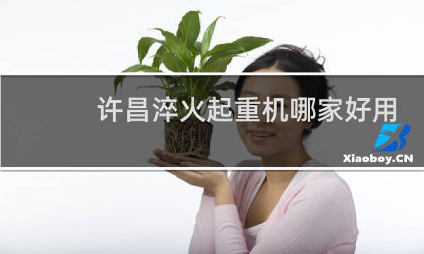 许昌淬火起重机哪家好用