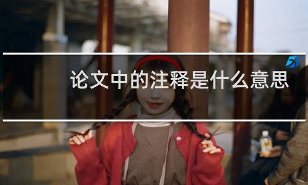 论文中的注释是什么意思