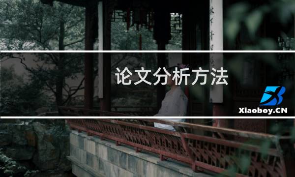 论文分析方法