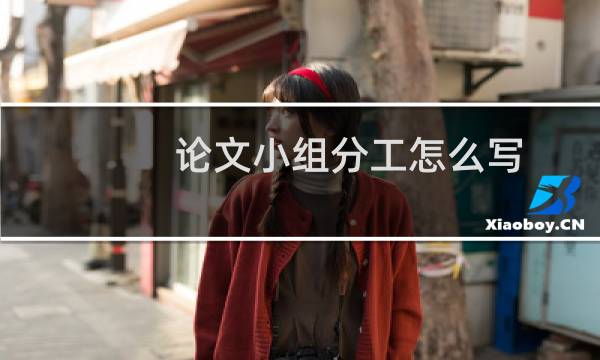 论文小组分工怎么写