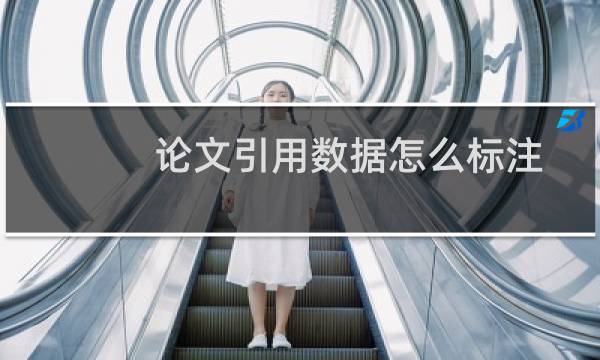 论文引用数据怎么标注