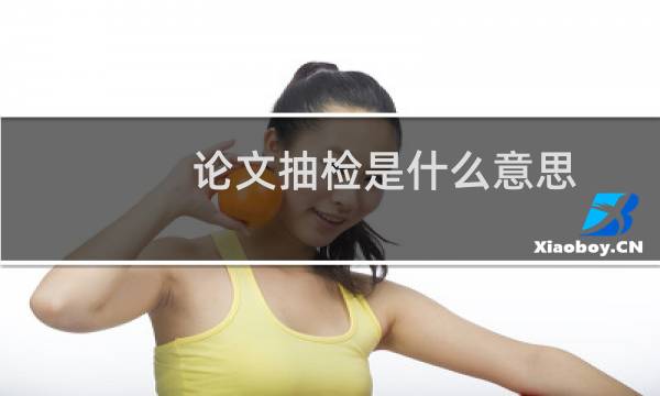 论文抽检是什么意思