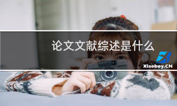 论文文献综述是什么
