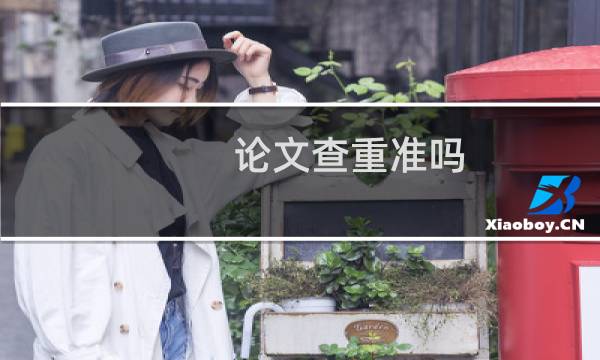 论文查重准吗