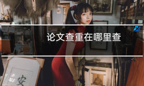 论文查重在哪里查