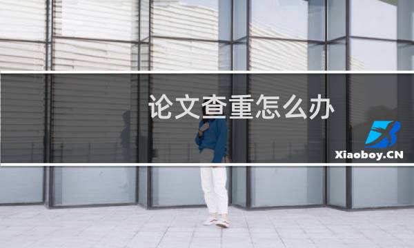 论文查重怎么办