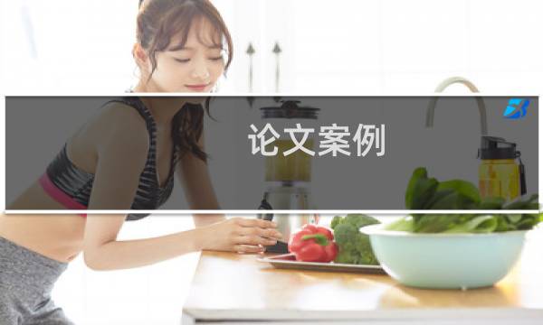 论文案例
