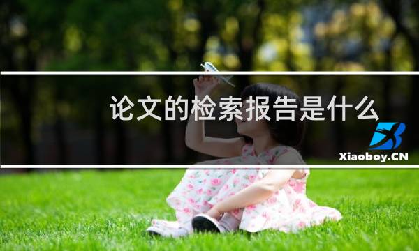 论文的检索报告是什么