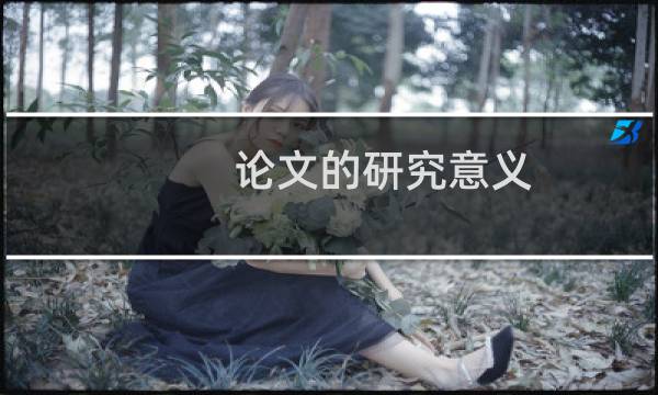 论文的研究意义