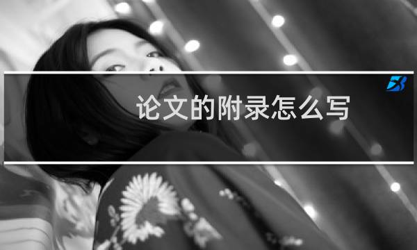 论文的附录怎么写