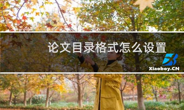 论文目录格式怎么设置