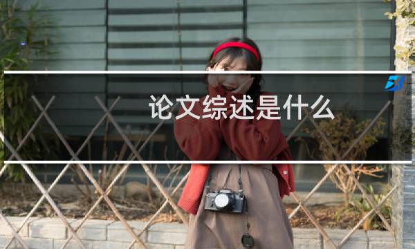 论文综述是什么