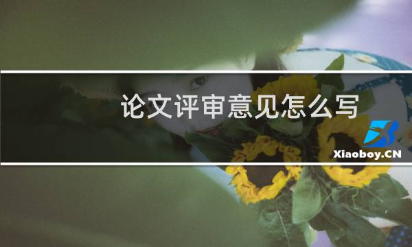 论文评审意见怎么写