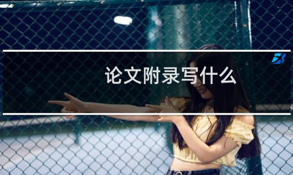 论文附录写什么