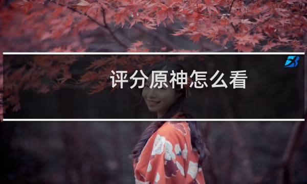 评分原神怎么看