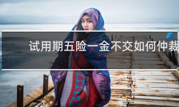 试用期五险一金不交如何仲裁