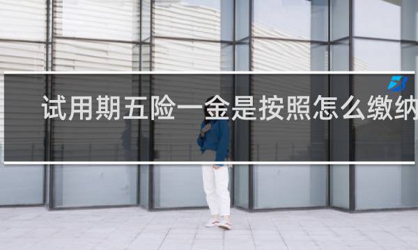 试用期五险一金是按照怎么缴纳的