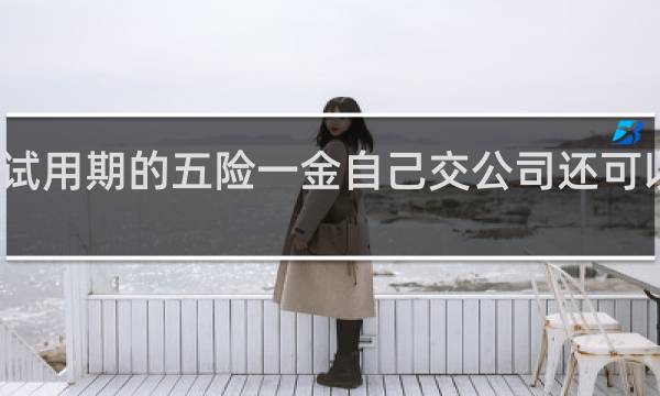 试用期的五险一金自己交公司还可以补吗