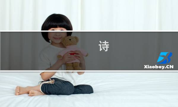 诗 攻略