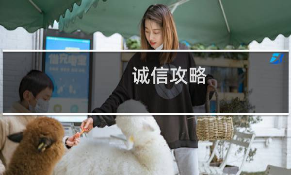 诚信攻略