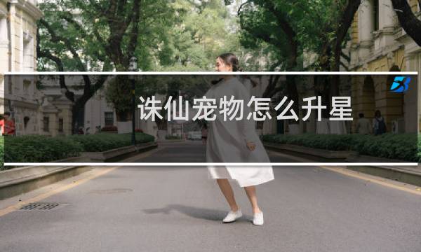 诛仙宠物怎么升星
