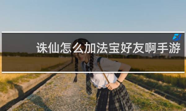 诛仙怎么加法宝好友啊手游