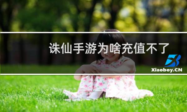 诛仙手游为啥充值不了