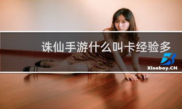 诛仙手游什么叫卡经验多