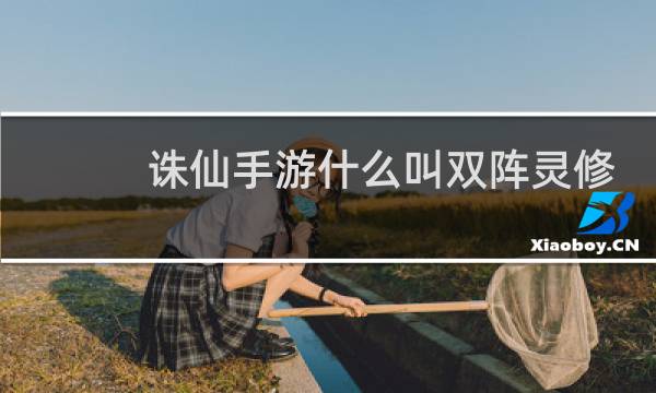 诛仙手游什么叫双阵灵修