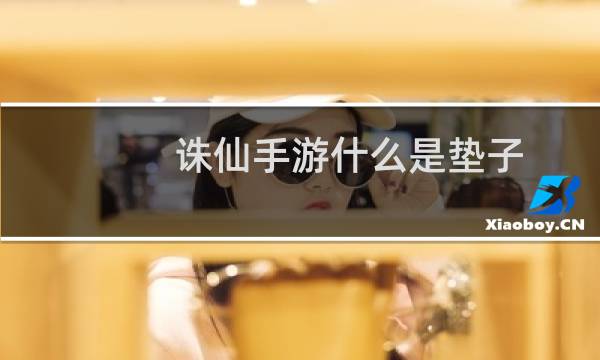 诛仙手游什么是垫子