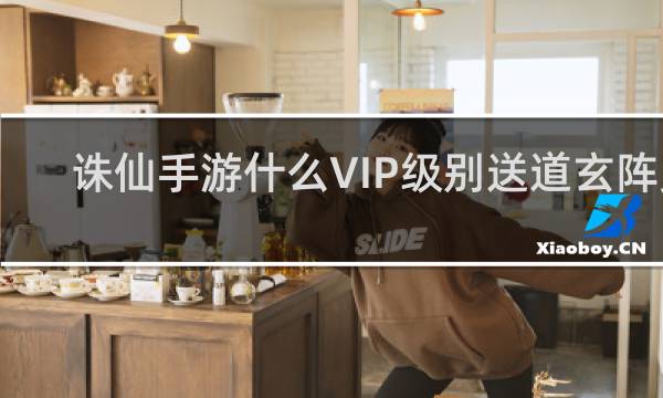 诛仙手游什么VIP级别送道玄阵灵