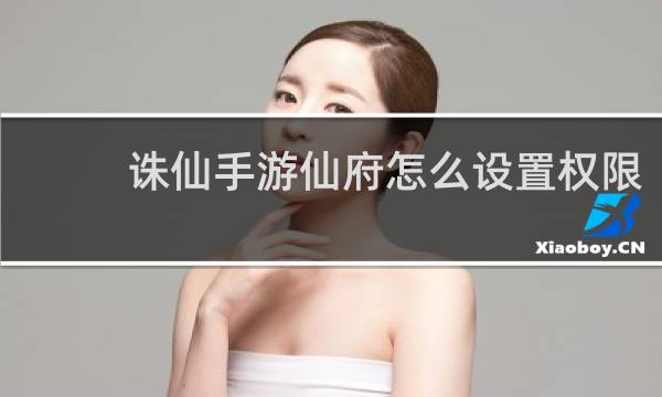 诛仙手游仙府怎么设置权限