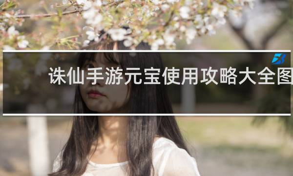 诛仙手游元宝使用攻略大全图