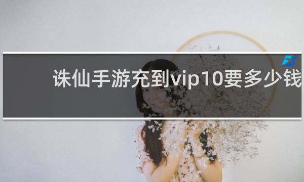 诛仙手游充到vip10要多少钱