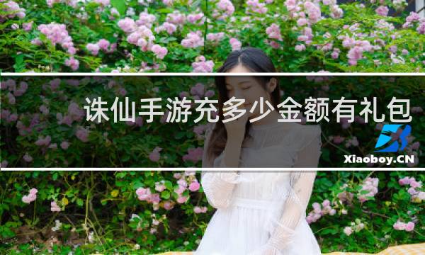 诛仙手游充多少金额有礼包