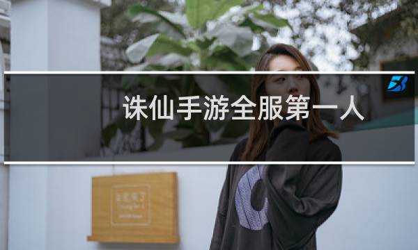 诛仙手游全服第一人