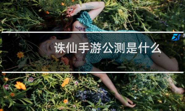 诛仙手游公测是什么