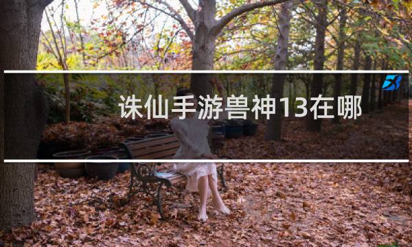 诛仙手游兽神13在哪