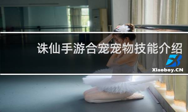 诛仙手游合宠宠物技能介绍