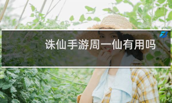 诛仙手游周一仙有用吗