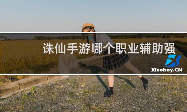 诛仙手游哪个职业辅助强